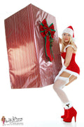 Christmas Present Photo Set